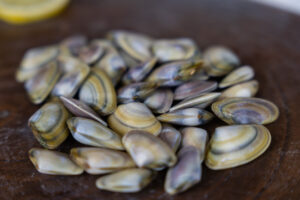 Coquinas Vivas Bolsa 500 g