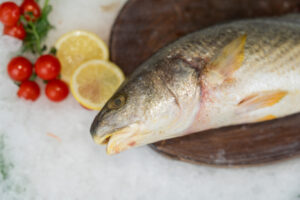 Corvina Fresca de Lonja