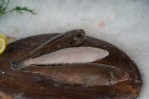 Lenguado Migoso