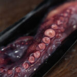 Pata de Pulpo Cocido Tradicional