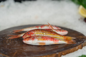 Salmonete de Roca de Lonja