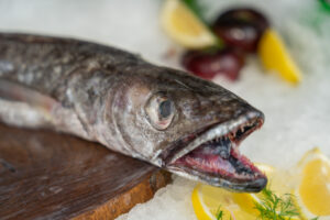 Merluza / Pescadilla de Volanta del Cantábrico