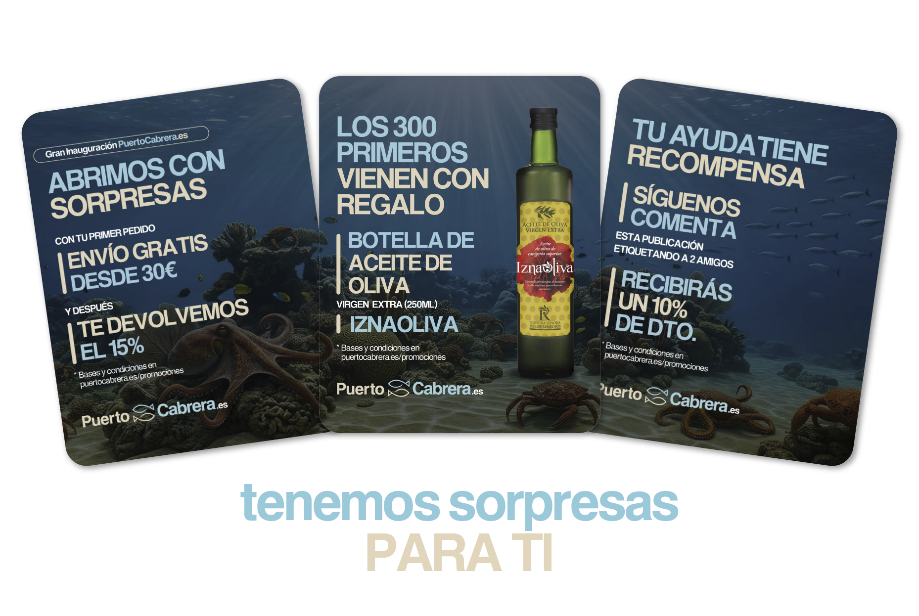 PUEROCABRERA WEB 2-8