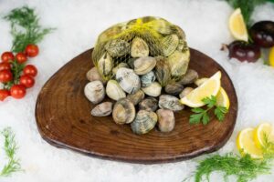 Almeja Pequeña de Cultivo